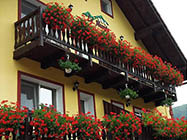 Pensiunea La Munte din zona Moieciu de Jos