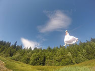 Balu Park Aventura din judetul Harghita