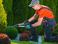 Firma de curatenie LMD CLEANHOME