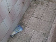 Curatenie rezidentiala Bucuresti