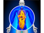 Medicina Integrativa Leon Clinique