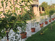 Camin de batrani Drumul Taberei