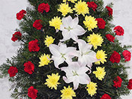 Servicii Funerare Daniflor Bragadiru