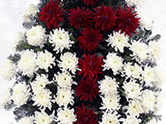 Servicii Funerare Daniflor Bragadiru