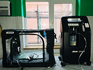 Cabinet Veterinar Innovet Impex