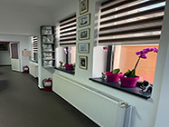 cabinet veterinar innovet impex bucuresti