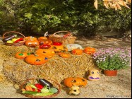 Gradinita particulara Pipera