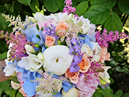 Florarie Piata de Flori