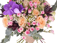 Distinct Flowers - Florarie