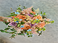 florarie iancului bucuresti