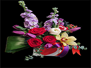 florarie iancului bucuresti sector 2