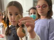 Before school Dorobanti