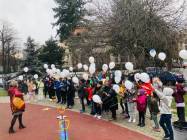 Before school Dorobanti