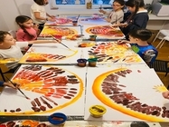 before school dorobanti steaua nordului