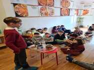 before school dorobanti steaua nordului