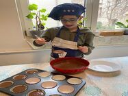 before school dorobanti steaua nordului