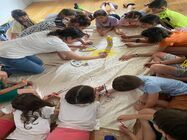 before school dorobanti steaua nordului