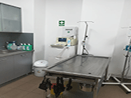 Ecografie veterinara Grivitei