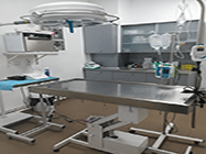 Ecografie veterinara Grivitei