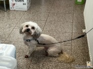 Veterinar Militari Residence