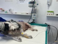 Veterinar Militari Residence