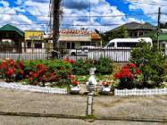 Caminul de batrani Ciprian si Iustina Mogosoaia