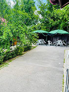 ciprian si iustina camin de batrani mogosoaia