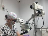 Cabinet stomatologic A.d. Bucurestii Noi