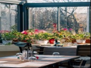 trattoria buoni amici