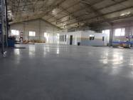 Momentum Automotive - Constatari Daune