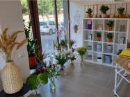 Florarie Ultraviolet Floral Design