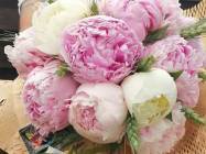 Florarie Ultraviolet Floral Design