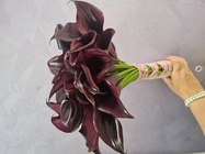 Ultraviolet Floral Design