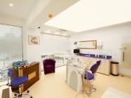 Endodontie dentara  Decebal