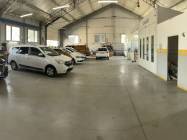 Service auto Momentum Automotive