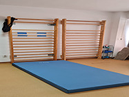 terapia cryo ultrasunete