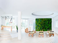 Cabinet kinetoterapie Pipera