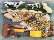 Cursuri copii Onix Junior