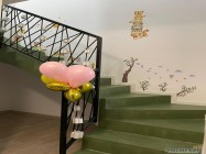 Gradinita Little Lions Pipera