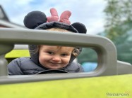 Gradinita Little Lions Pipera