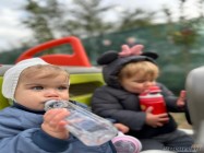 Gradinita Little Lions Pipera