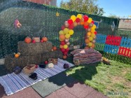 Gradinita Little Lions Pipera