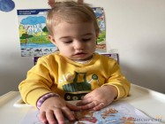 Gradinita Little Lions Pipera