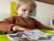 Gradinita Little Lions Pipera