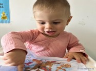 Gradinita Little Lions Pipera