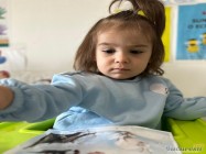 Gradinita Little Lions Pipera