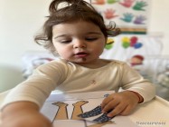 Gradinita Little Lions Pipera