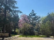 Caminul Maria Calarasi Belciugatele