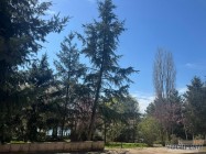 Caminul Maria Calarasi Belciugatele