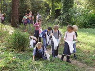 Scoala Germana Bucuresi - şcoala